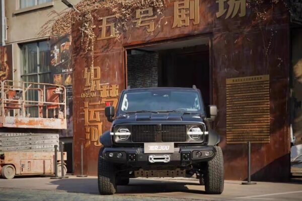 TOPFIRE-TANK 300 Knight Edition Body Kit - Image 4