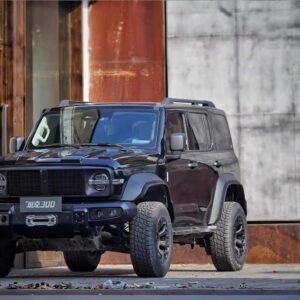 TOPFIRE-TANK 300 Knight Edition Body Kit